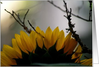 Flower in the mist card