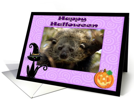 Halloween Bear Cat card (480855)