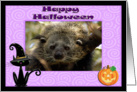 Halloween Bear Cat card
