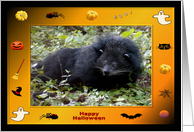 Halloween Bear Cat card