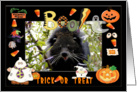 Halloween Bear Cat card