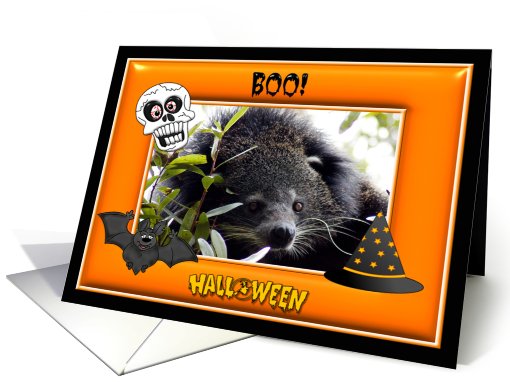 Halloween Bear Cat card (480864)