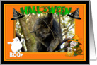 Halloween Bear Cat card