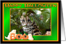 Halloween Bengal Cat card