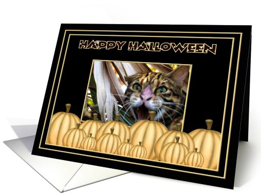 Halloween Bengal Cat card (481131)