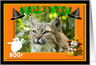 Halloween Bobcat card