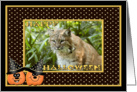 Halloween Bobcat card