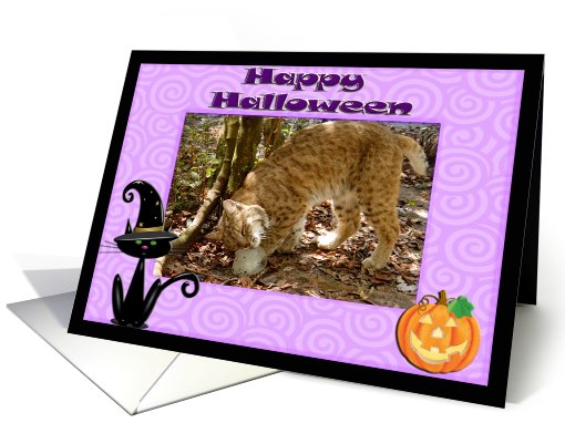 Halloween Bobcat card (481159)