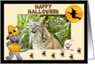 Halloween Bobcat card