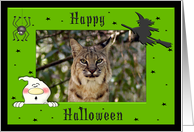 Halloween Bobcat card