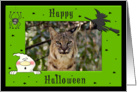 Halloween Bobcat card