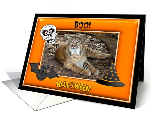Halloween Bobcat card (481203)