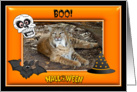 Halloween Bobcat card