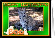 Halloween Bobcat card