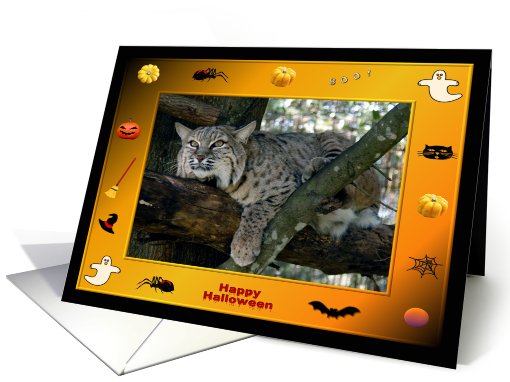 Halloween Bobcat card (481217)