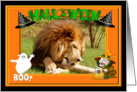 Halloween African Lion card