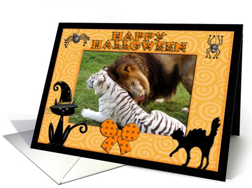 Halloween White Tiger & African Lion card (481276)