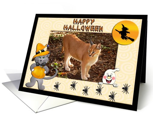 Halloween White Tiger & African Lion card (481278)