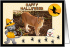 Halloween White Tiger & African Lion card