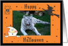 Halloween White Tiger & African Lion card