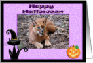 Halloween Caracal Lynx card