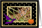 Halloween Caracal Lynx card