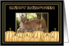 Halloween Caracal Lynx card