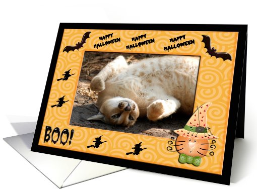 Halloween Caracal Lynx card (481364)