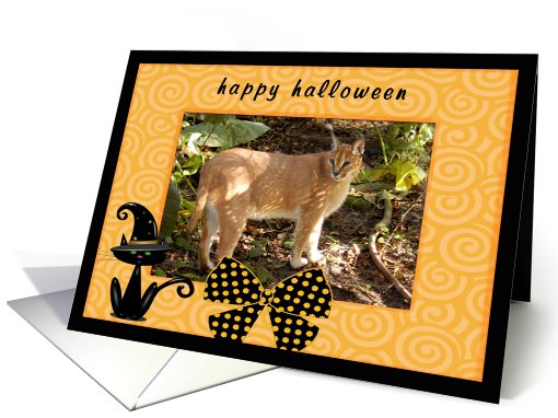 Halloween Caracal Lynx card (481403)