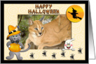 Halloween Caracal Lynx card