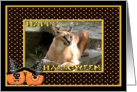 Halloween Caracal Lynx card