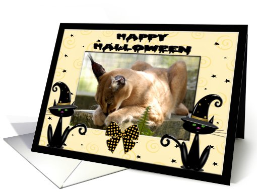 Halloween Caracal Lynx card (481449)