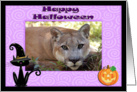 Halloween Cougar card