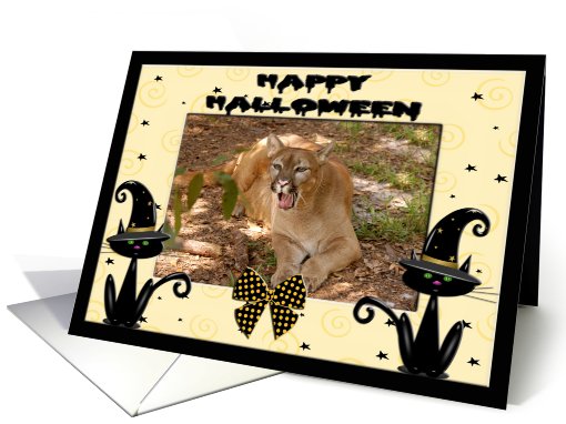 Halloween Cougar card (481454)