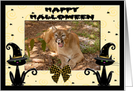 Halloween Cougar card
