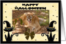 Halloween Cougar card