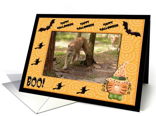 Halloween Cougar card (481456)