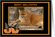 Halloween Cougar card