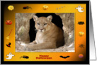 Halloween Cougar card