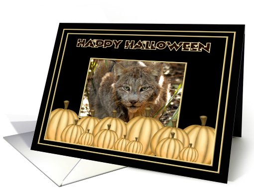 Halloween Canadian Lynx card (481492)