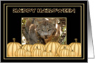 Halloween Canadian Lynx card