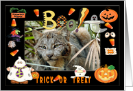 Halloween Canadian Lynx card