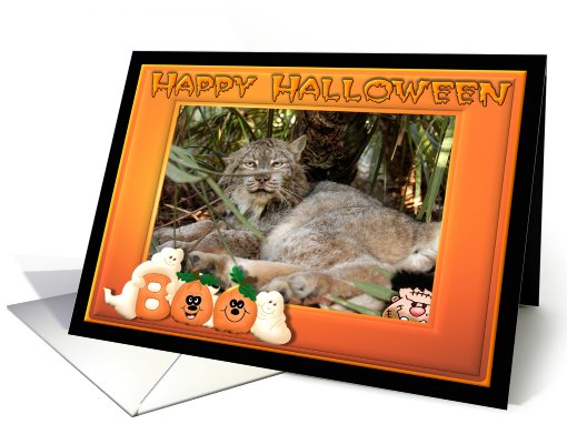 Halloween Canadian Lynx card (481499)