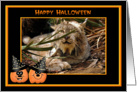 Halloween Canadian Lynx card
