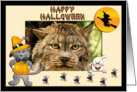 Halloween Canadian Lynx card