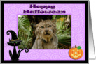 Halloween Canadian Lynx card