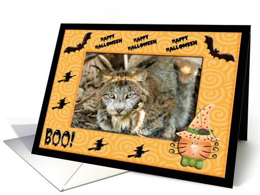 Halloween Canadian Lynx card (481505)