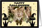 Halloween Canadian Lynx card