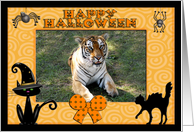 Halloween Tiger card