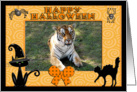 Halloween Tiger card